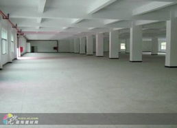 深圳建材市場與西麗工廠裝修 融合獨(dú)特創(chuàng)意與專業(yè)建材，打造卓越工業(yè)空間